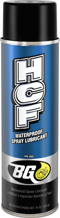 BG Special HCF